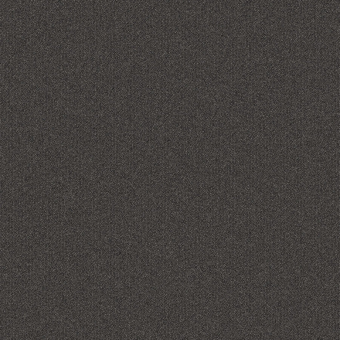 2b134-979-variant-room-scene