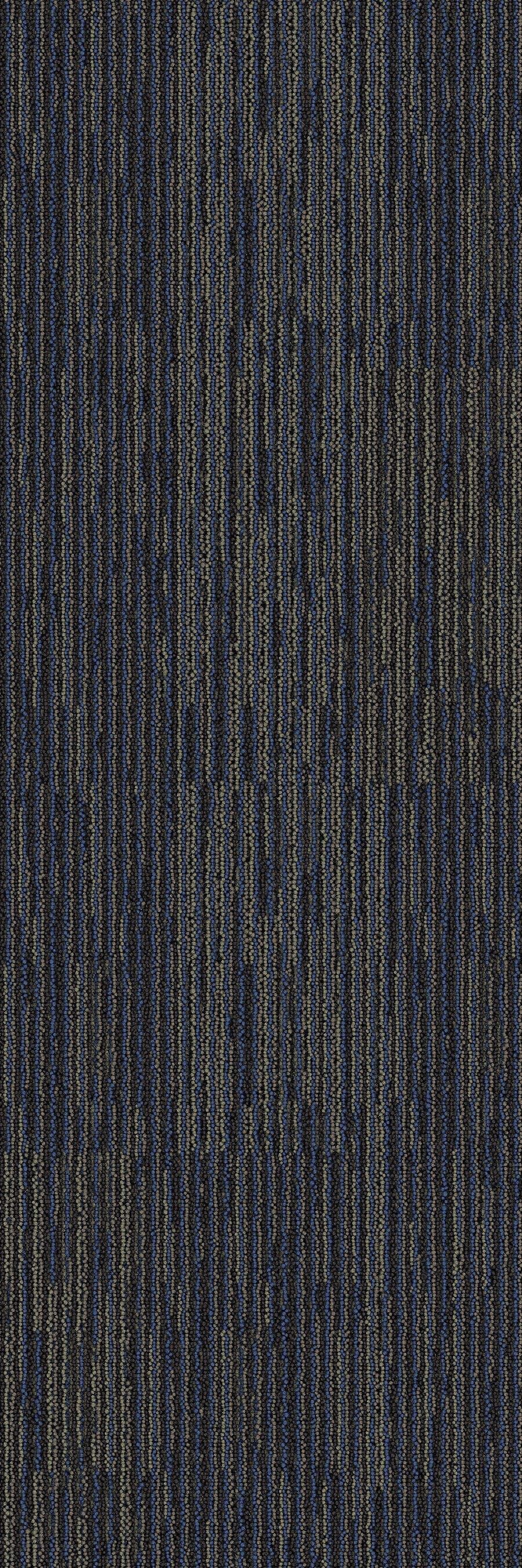 2b170-568-variant-room-scene