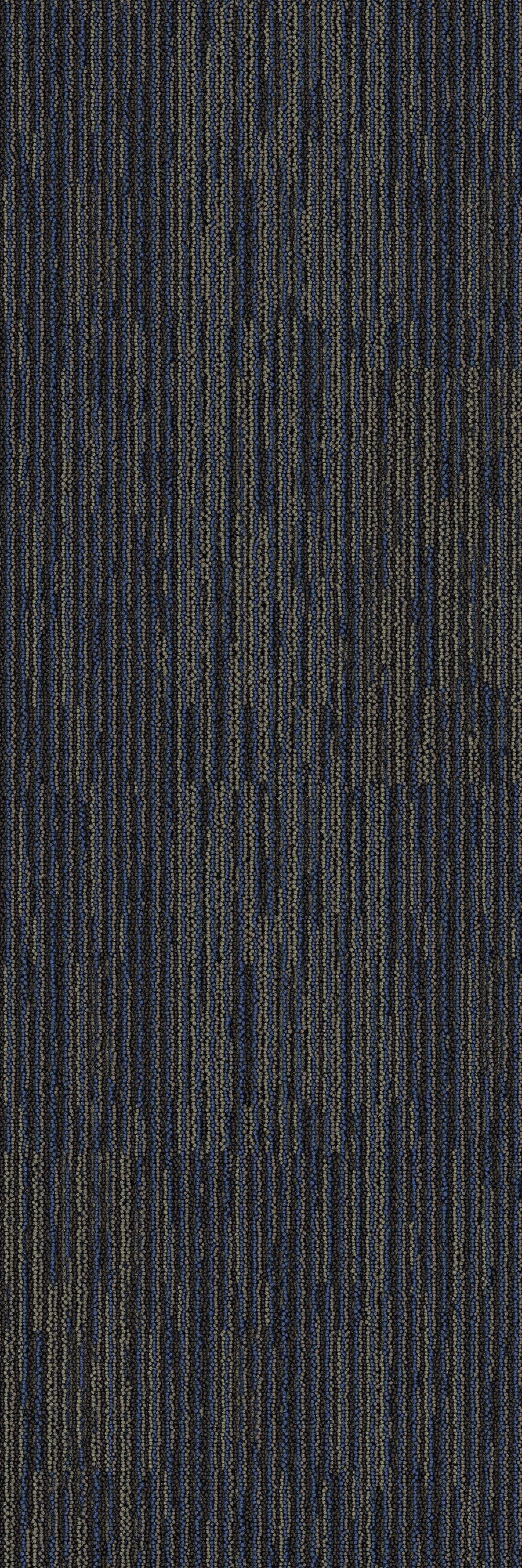 2b170-568-variant-room-scene