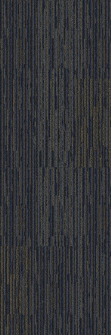 2b170-568-variant-room-scene
