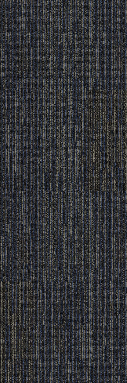 2b170-568-variant-room-scene
