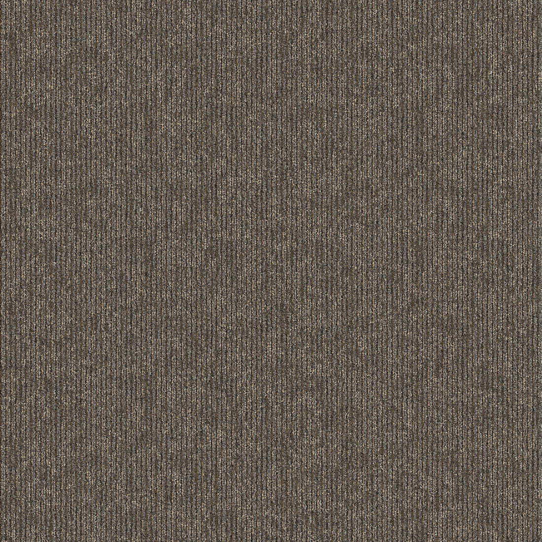 2b178-888-variant-room-scene