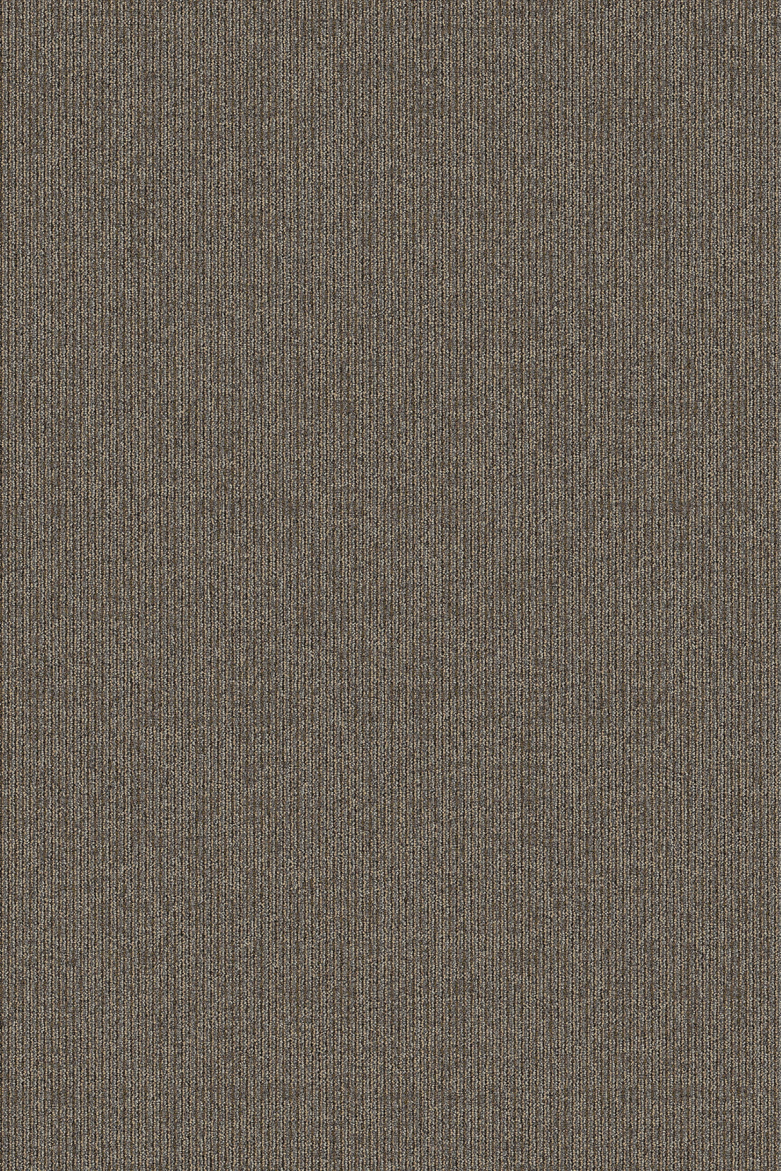 2b179-888-variant-room-scene