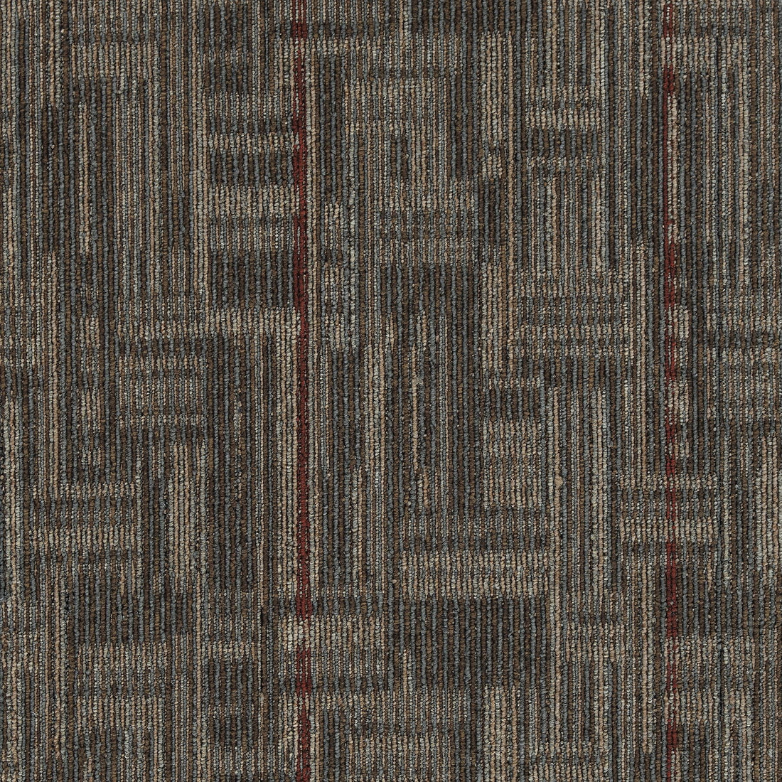 2b194-888-variant-room-scene
