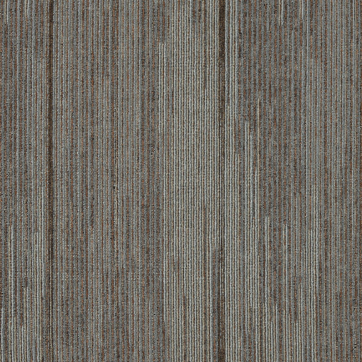 qa195-828-variant-room-scene