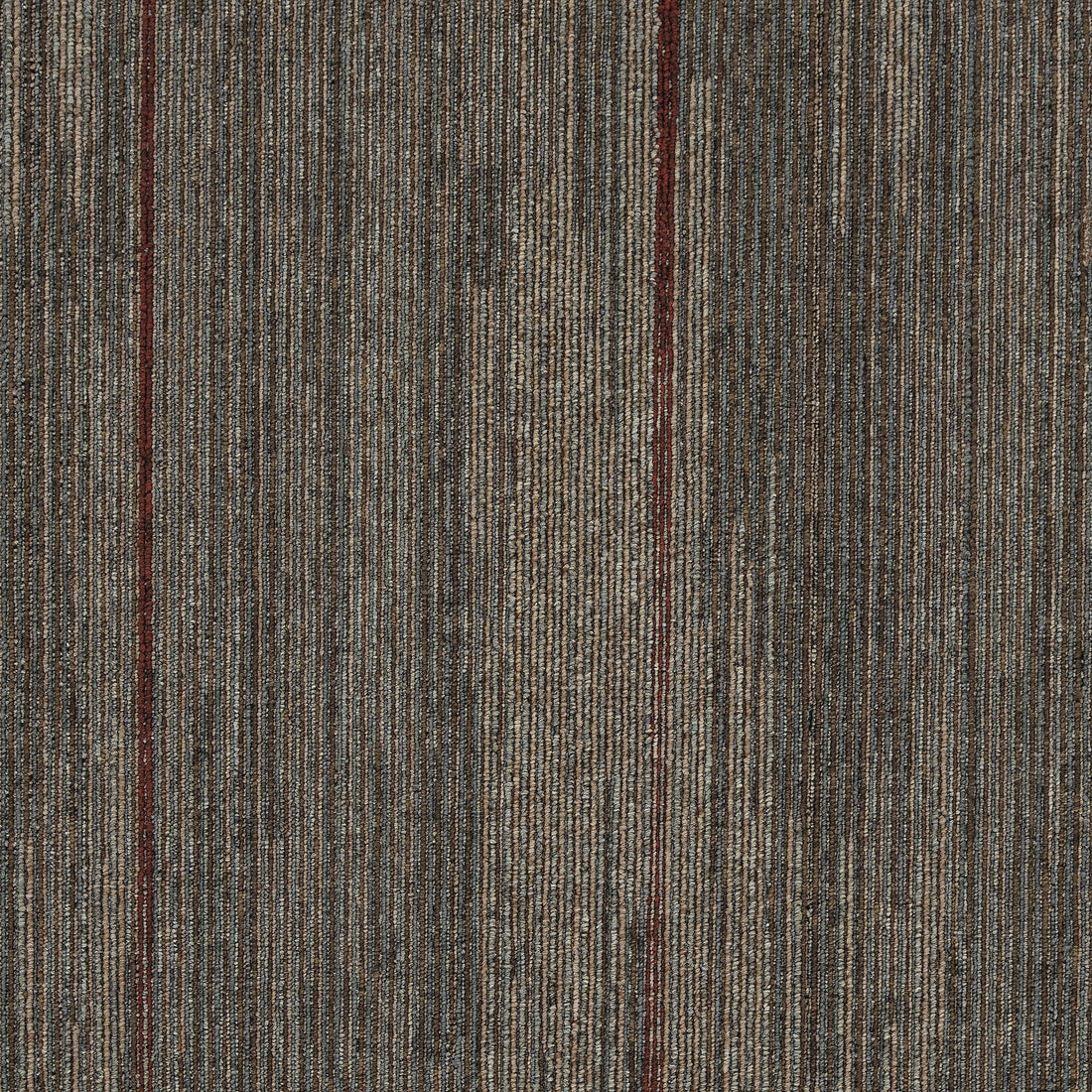 qa195-888-variant-room-scene