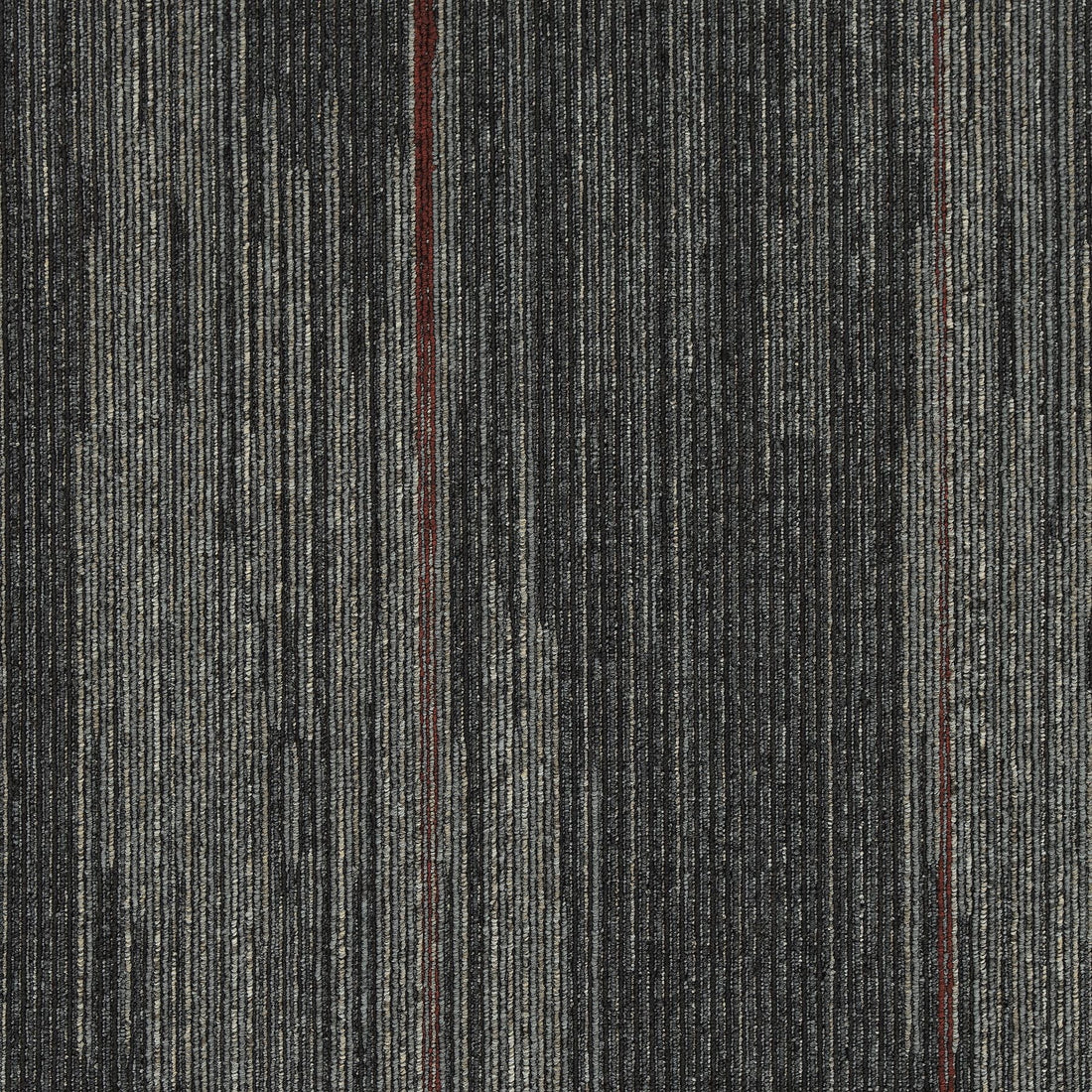 qa195-978-variant-room-scene