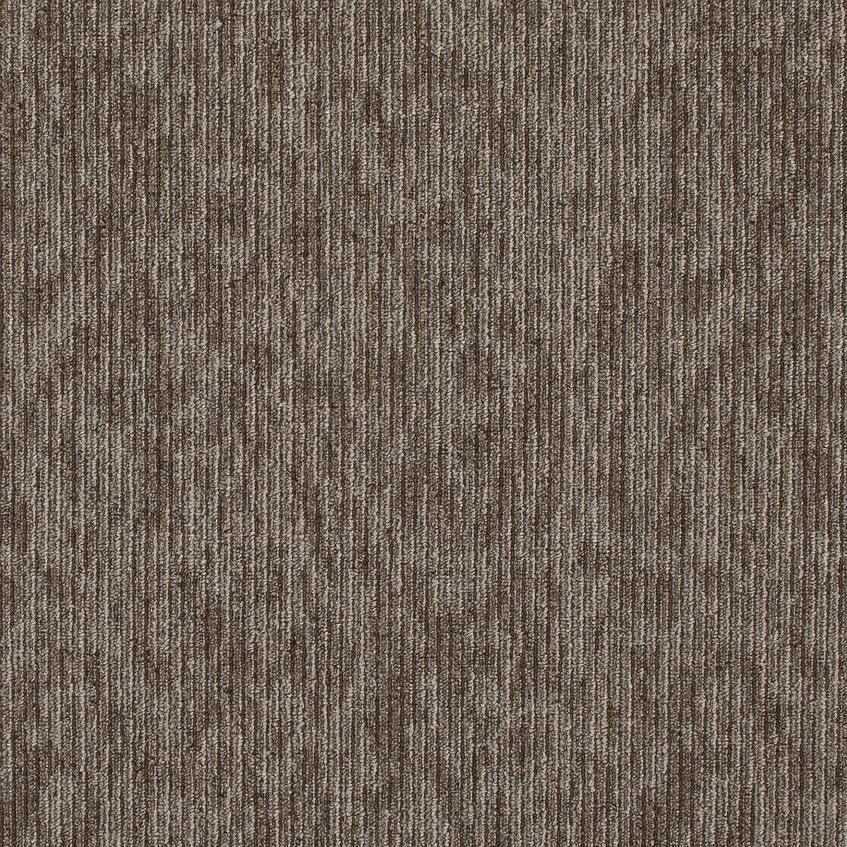 qa201-929-variant-room-scene