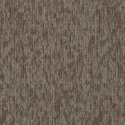 qa201-929-variant-room-scene