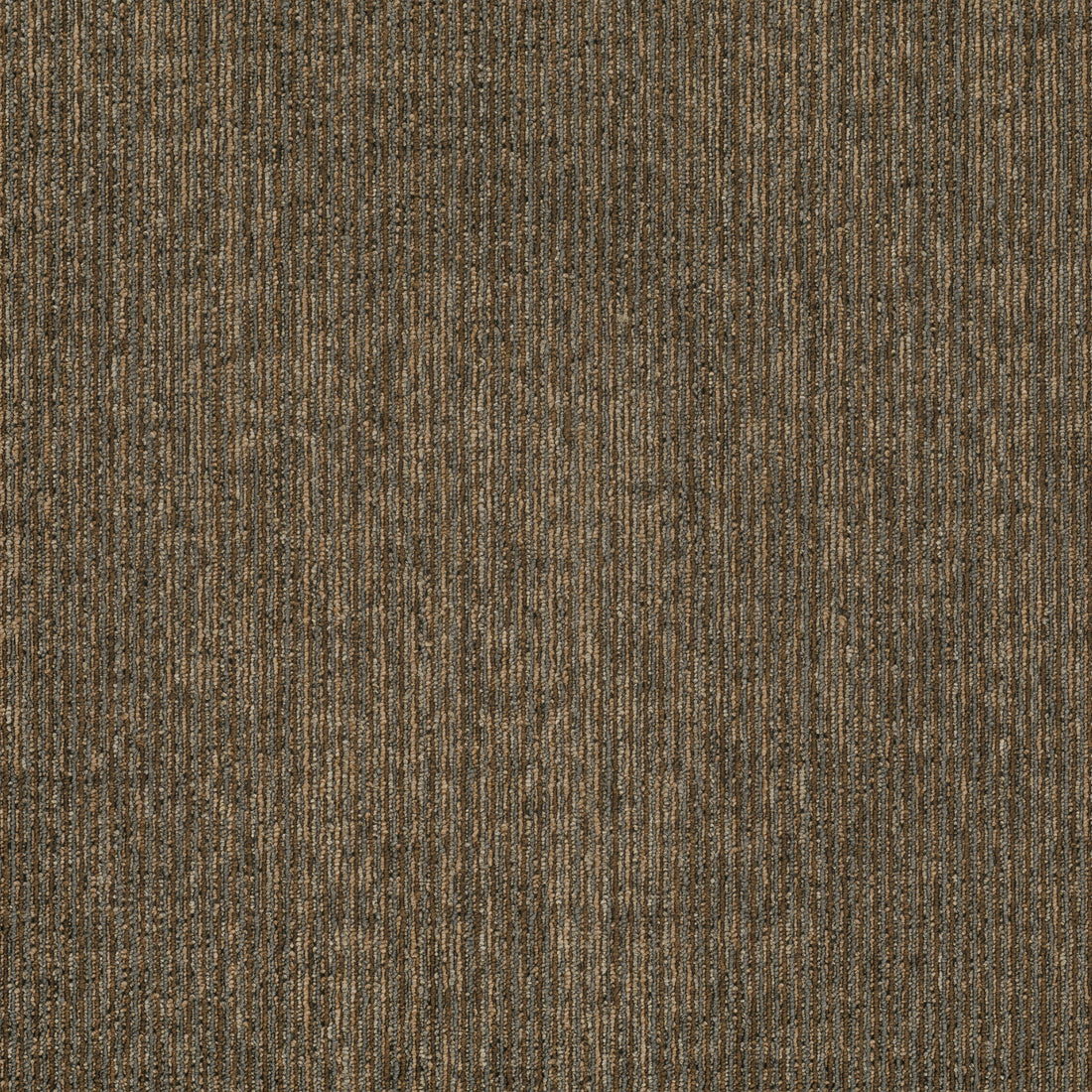 2b214-888-variant-room-scene