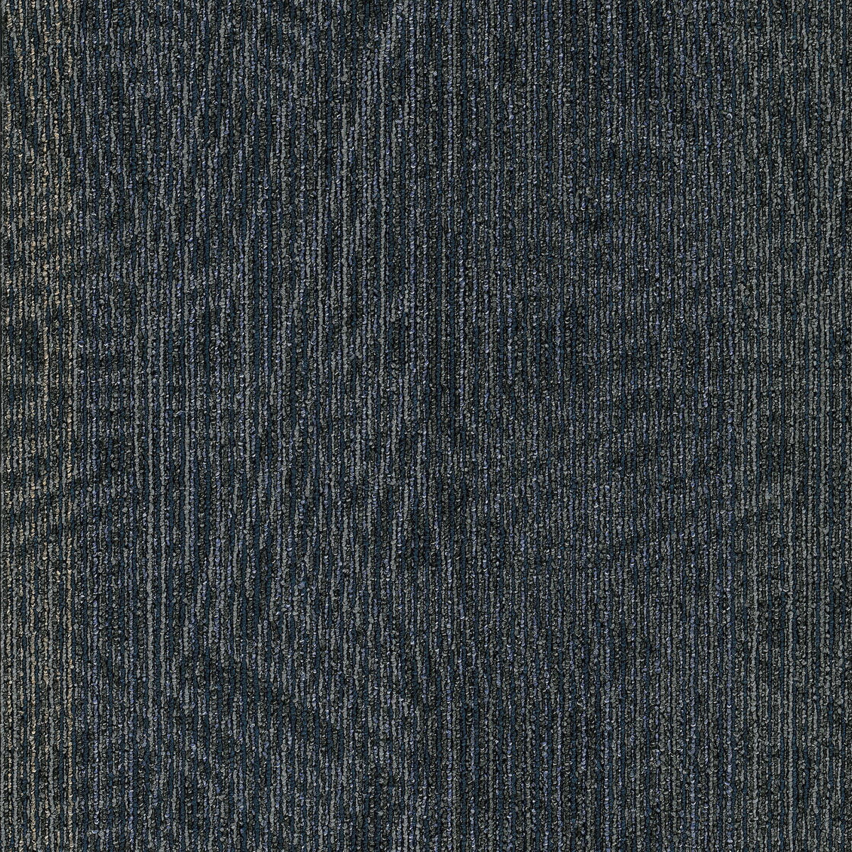 2b215-559-variant-room-scene