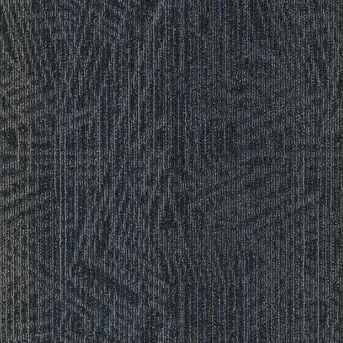 2b215-559-variant-room-scene
