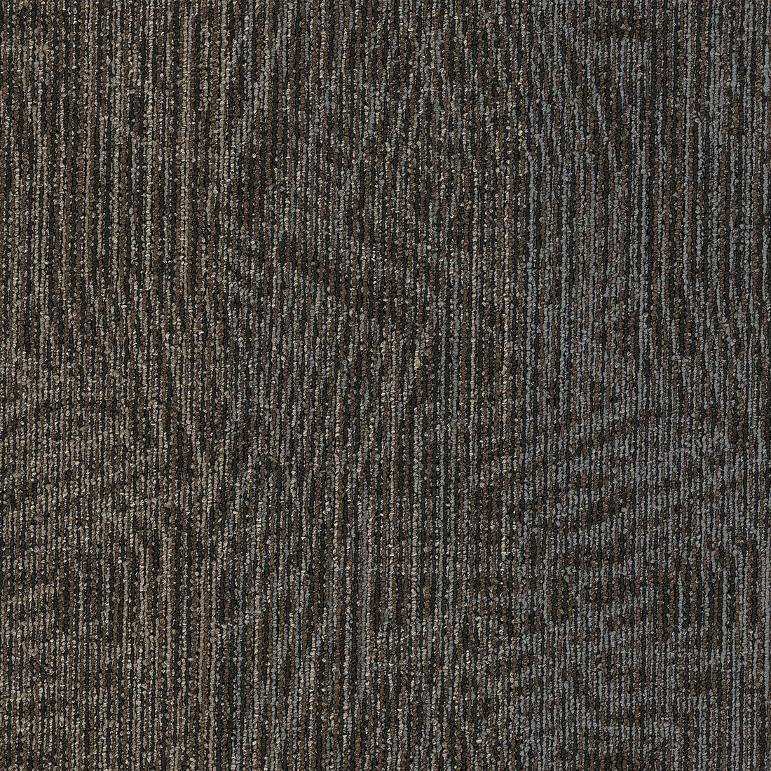 2b215-888-variant-room-scene