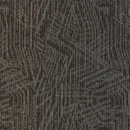 2b215-888-variant-room-scene