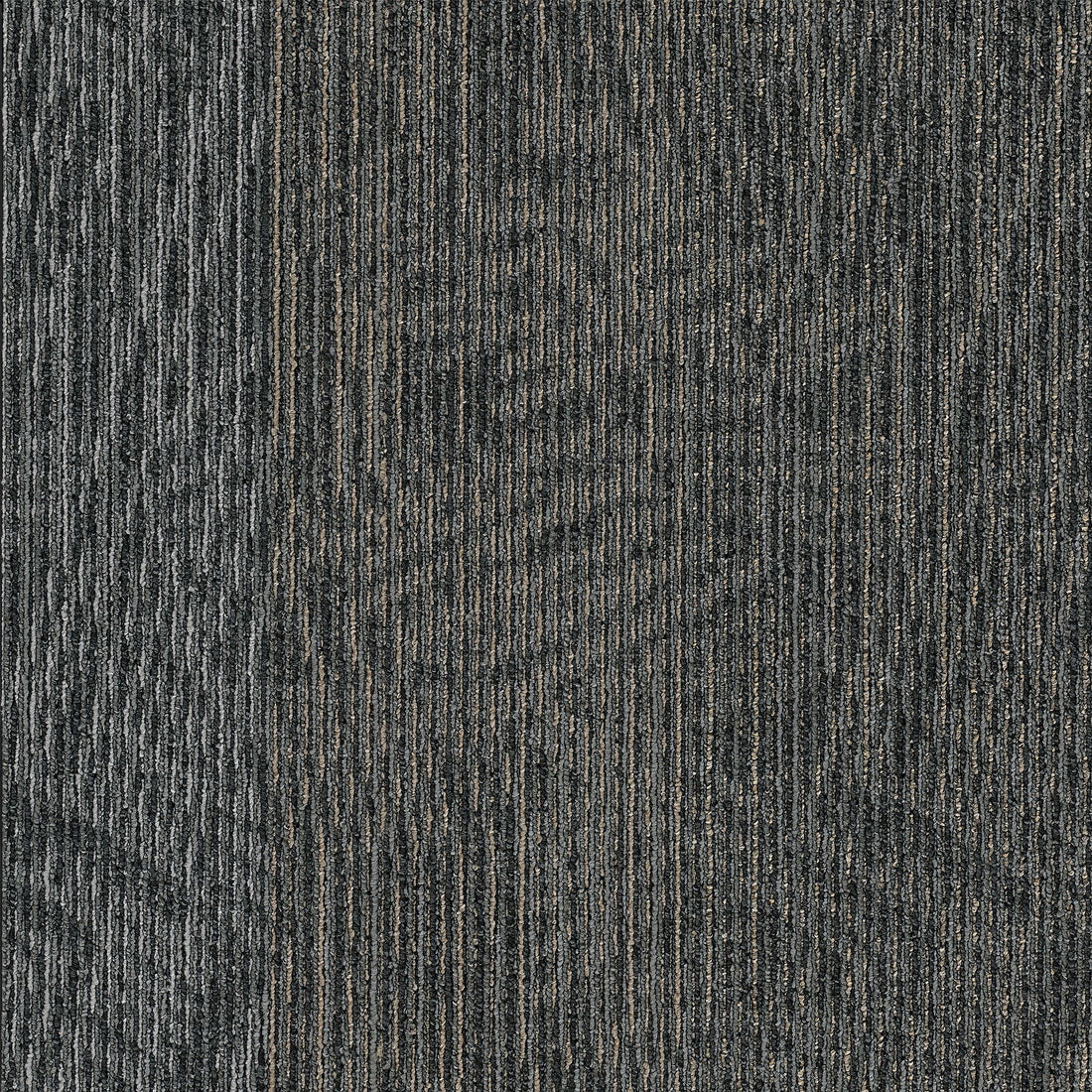 2b215-949-variant-room-scene