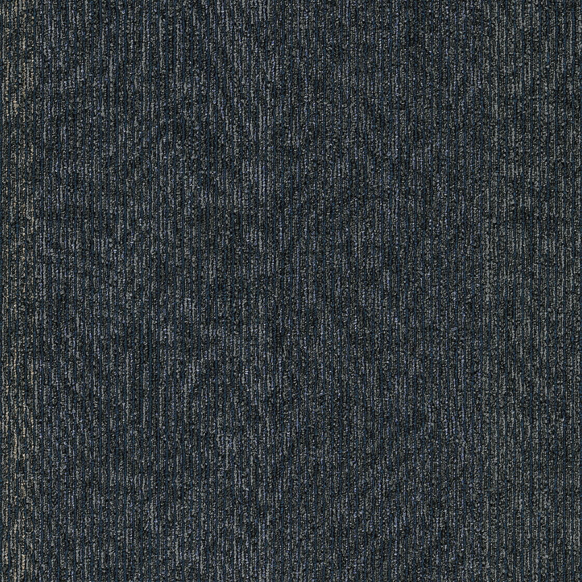 2b216-559-variant-room-scene