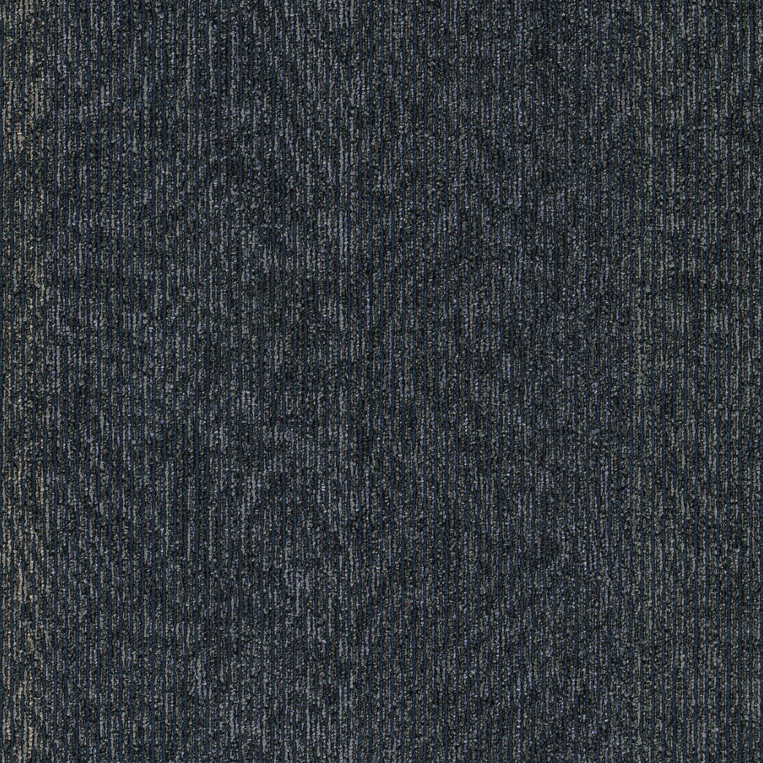 2b216-559-variant-room-scene
