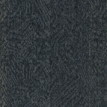 2b216-559-variant-room-scene