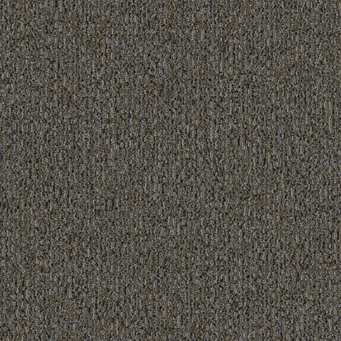 2b217-828-variant-room-scene