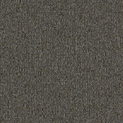 2b217-828-variant-room-scene
