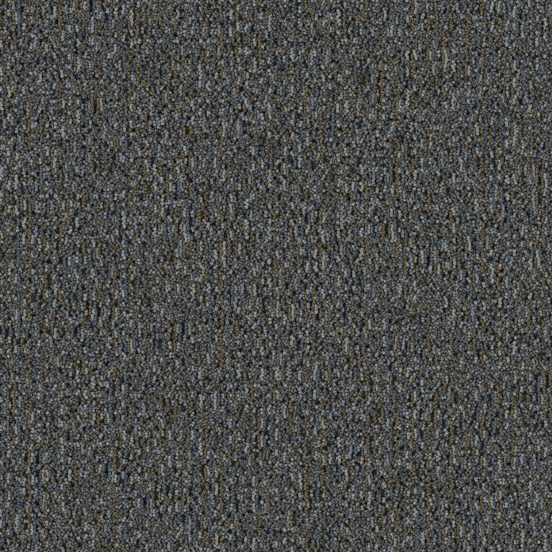 2b217-958-variant-room-scene