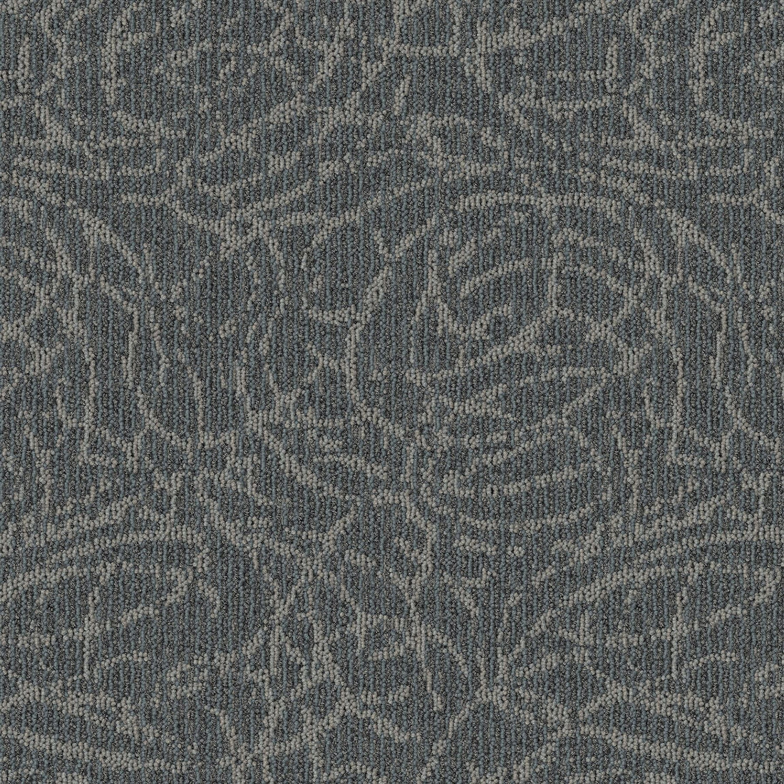 2b219-937-variant-room-scene