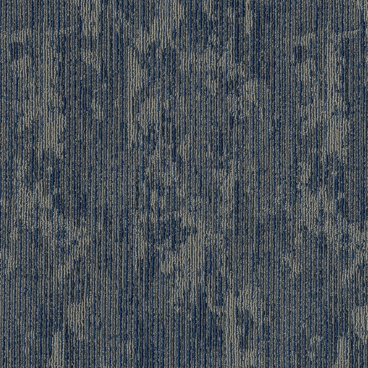 2b221-565-variant-room-scene