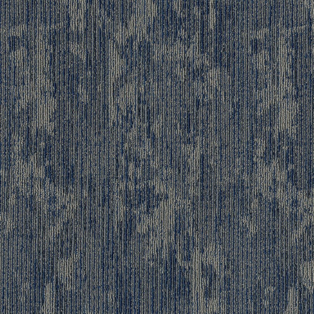 2b221-565-variant-room-scene