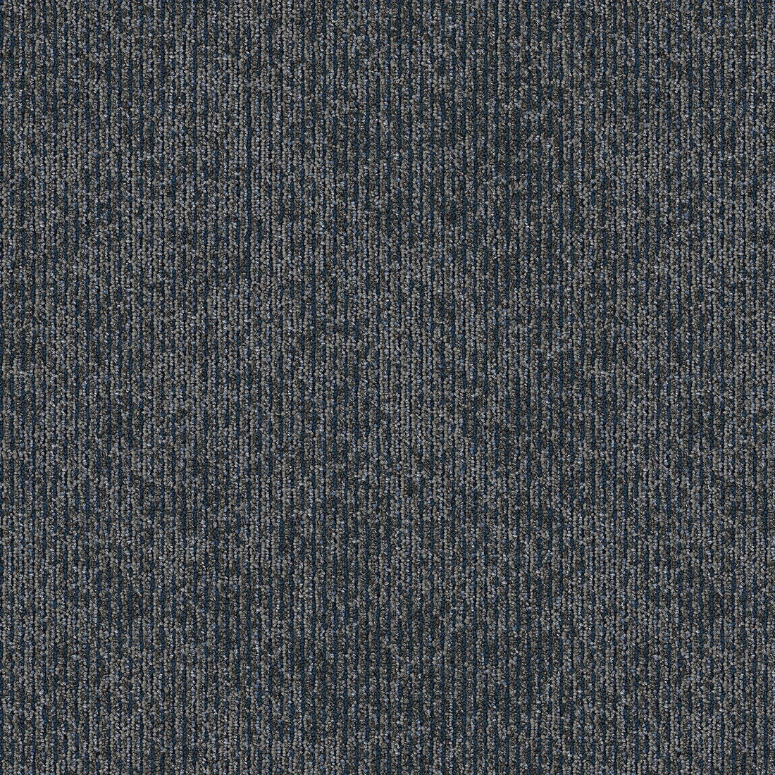 2b225-559-variant-room-scene