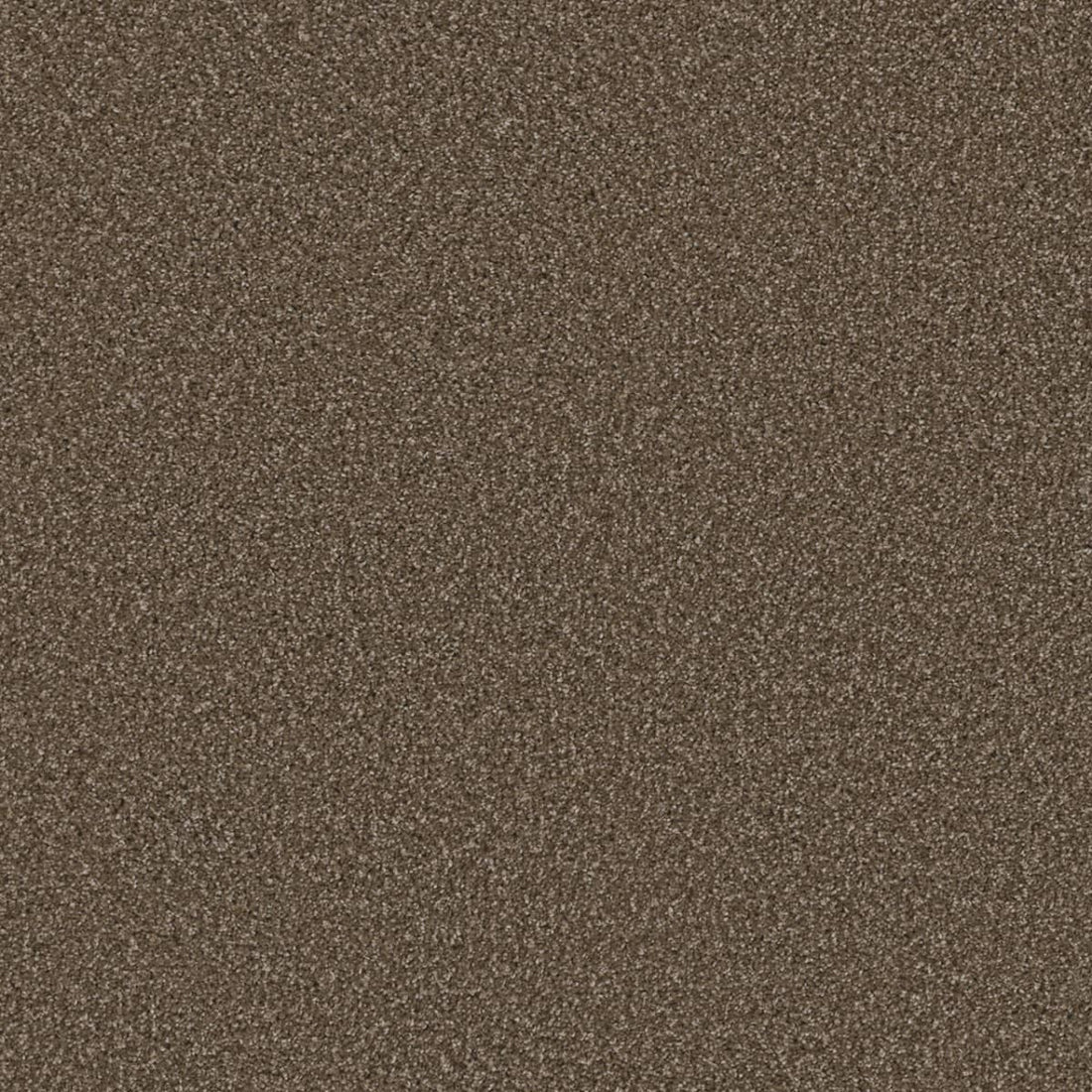 1-8550-874-1200-a-variant-room-scene