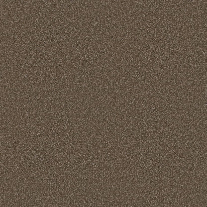 1-8550-874-1200-a-variant-room-scene