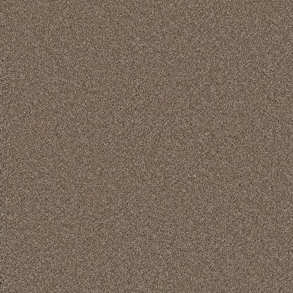 1-8550-883-1200-a-variant-room-scene