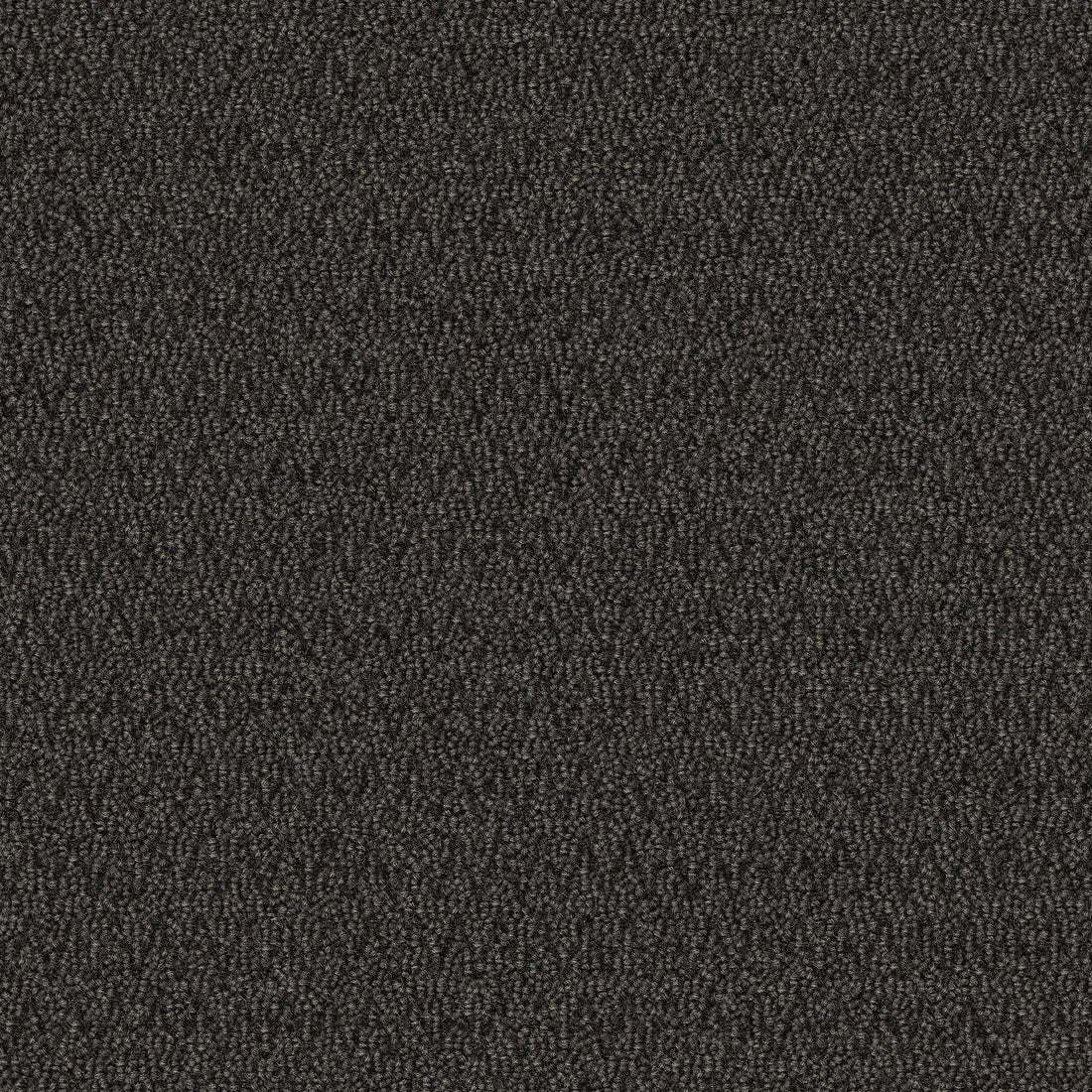 2b68-955-variant-room-scene