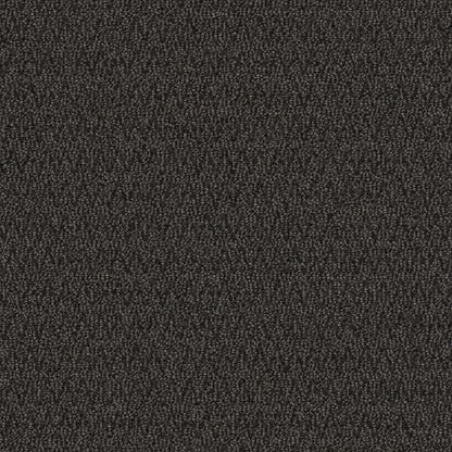 2b68-955-variant-room-scene