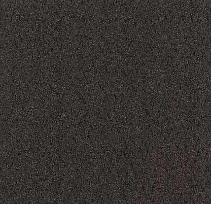 2b69-983-variant-room-scene