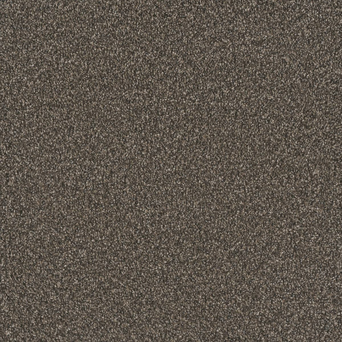 1-9337-5113-1200-a-variant-room-scene