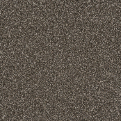 1-9337-5113-1200-a-variant-room-scene