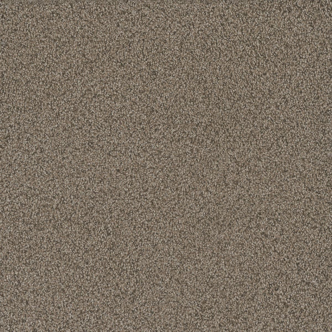 1-9337-6117-1200-a-variant-room-scene