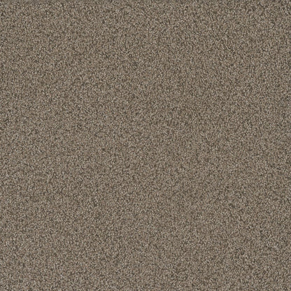 1-9337-6117-1200-a-variant-room-scene