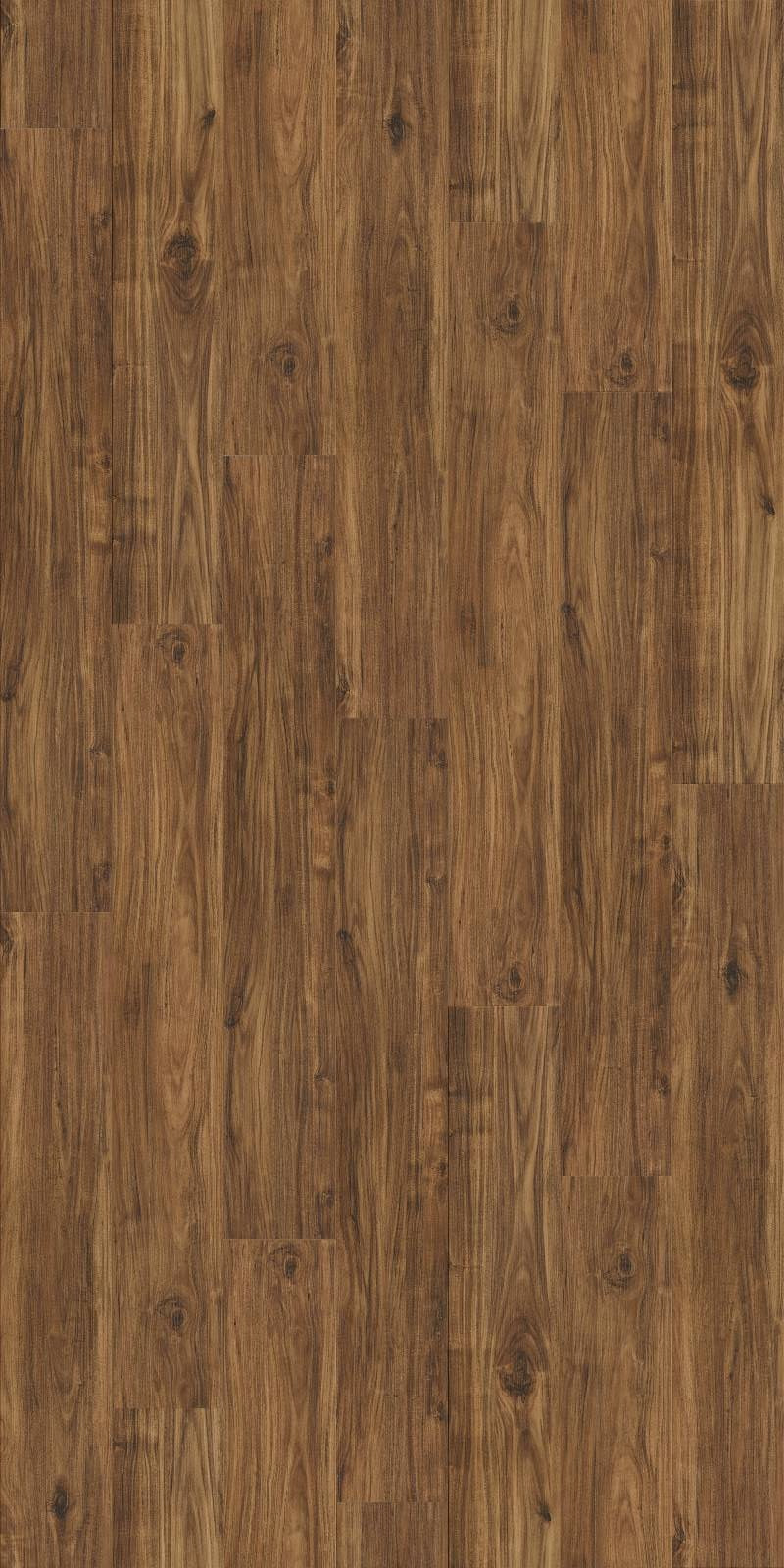 MK22-ASO-EC Acacia Select