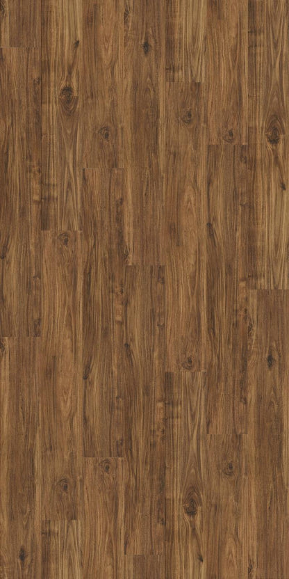 MK22-ASO-EC Acacia Select