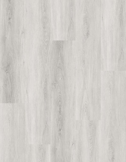 CV-RS8901 Windsor