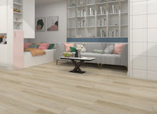 cv-rs8903-variant-room-scene