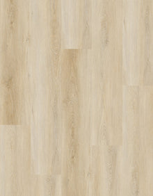 CV-RS8904 Bostwick