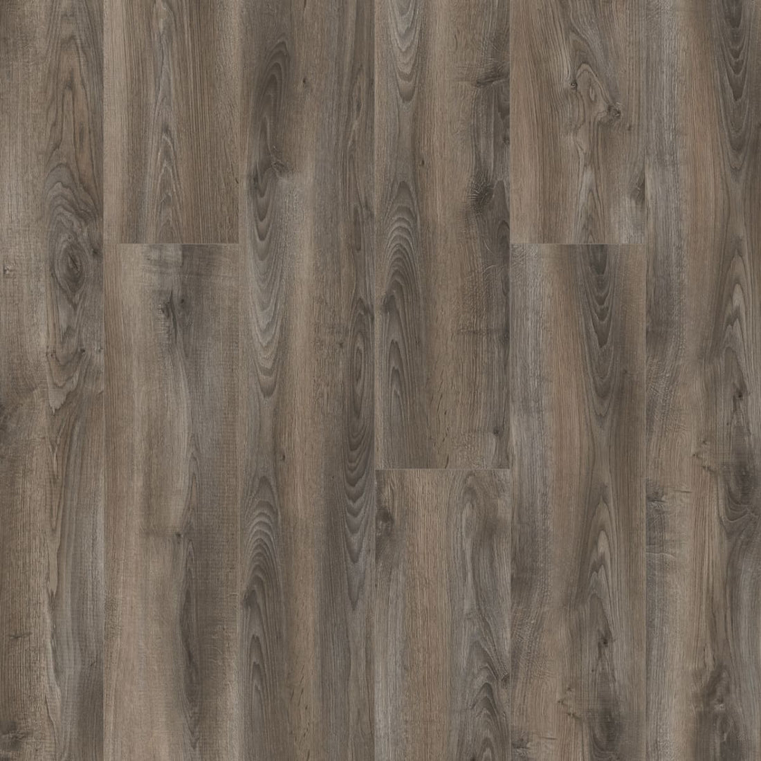 1-d020-2010-8x54-fl-variant-room-scene