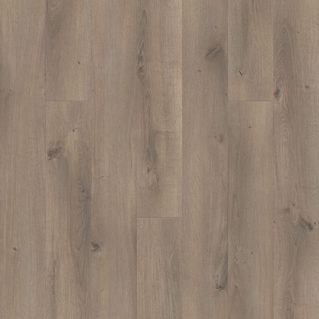 1-d020-2011-8x54-fl-variant-room-scene