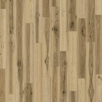 1-d2023-6020-7x48-rf-variant-room-scene