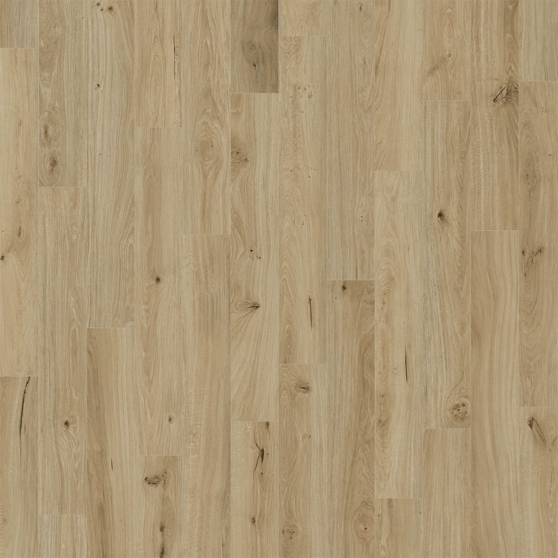 1-d2023-6021-7x48-rf-variant-room-scene