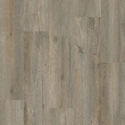 1-l2520-4001-7x48-lv-variant-room-scene