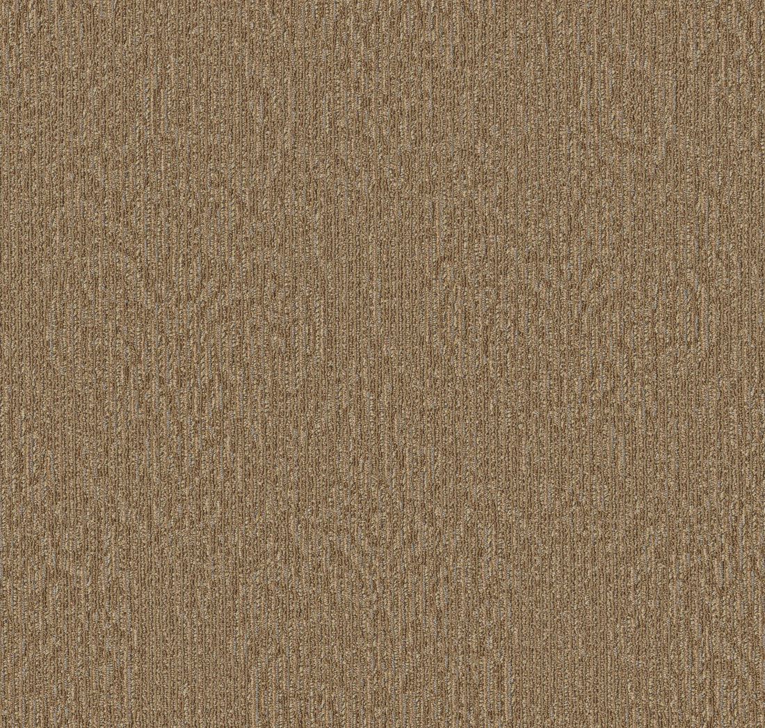 54852-00200-swatch-shaw-floors